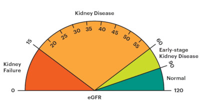 eGFR Scale